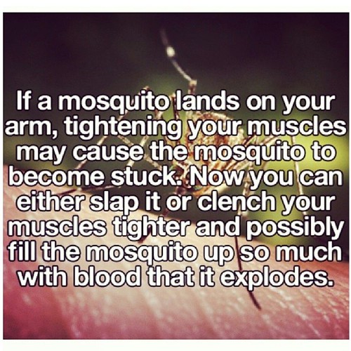 #hack #mosquito #instahack | by sweesian_aw