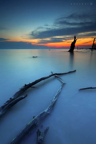 sunset color tree beach canon eos colours malaysia pantai selangor pokok warna banting matahariterbenam ef1740mmlusm leefilters kelanang 5dmarkii azralfikri shazral 09soft