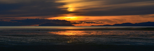<p>Iona Beach Regional Park, Richmond, British Columbia, Canada<br />
Nikon D5100, 70-300 mm f/4.5-5.6<br />
May 19, 2013</p>