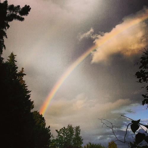 Shall I go and look after the treasure? by Seayard, rainbow regnbue