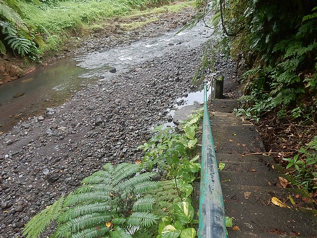 Path Down to Stony Creek