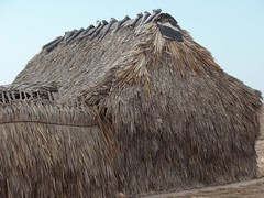 Palm House - Casa de palma entre San Mateo del Mar y Santa María del Mar, Región Istmo, Oaxaca, Mexico