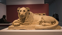Louvre-Lens - Lion