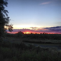 Pretty sunset