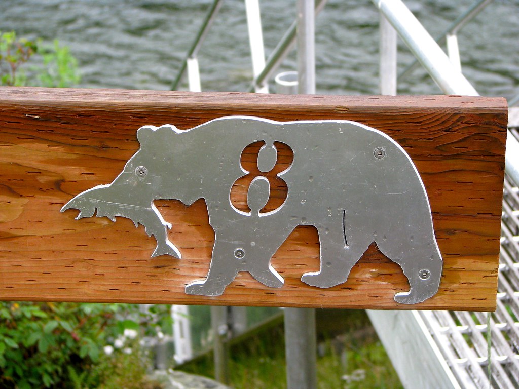 Salmon and Bears. Photo by howderfamily.com (CC BY-NC-SA 2.0)
