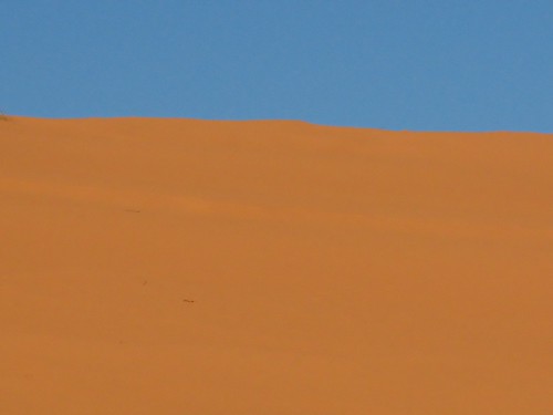 Sand Dunes 029 | by Chandler West