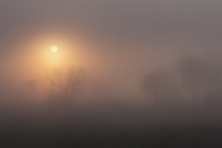 Sonnenaufgang im  Nebel