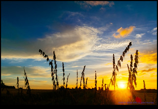 Sunrise or sunset photo of Ruffec