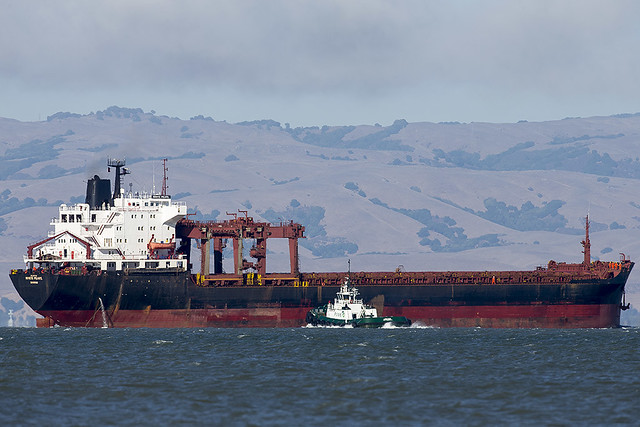 WHITE PEARL Timber Carrier IMO 8207331