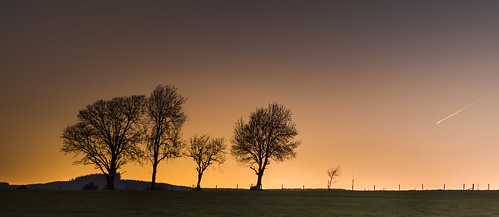 wood ireland sunset sky panorama tree love nature beautiful clouds photoshop fence landscape 50mm spring nikon europe like filter fields d200 nikkor favourite wicklow processed lightroom leinster