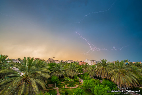 lighting sky tree rain lights palm kuwait thunder kw q8 grean salwa hawallygovernorate afm1181
