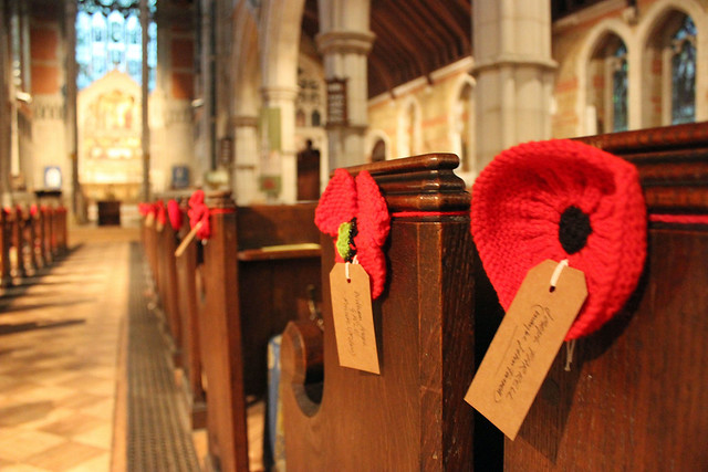 Beautiful knitted poppies, each with a name tag of a local man killed in WW1.
