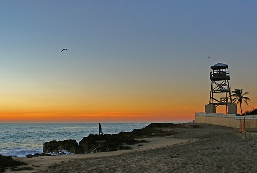 ocean sky bird sunrise dawn fishing fisherman rocks florida stuart atlantic observationtower houseofrefuge hutchinsonisland
