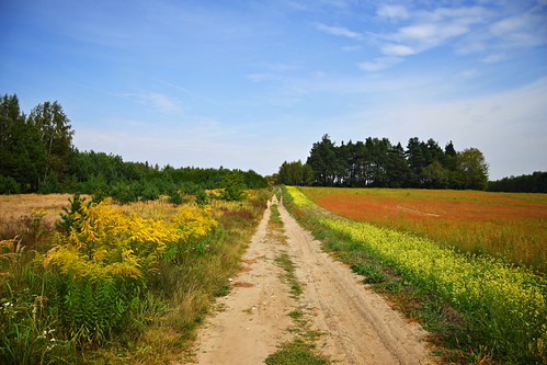 curious... by JoannaRB2009, ...what's at the end of the road...road path field meadow outdoor nature view hills landscape colour