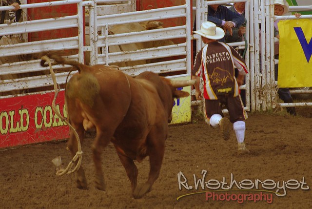 2012 Innisfail Pro Rodeo-00034