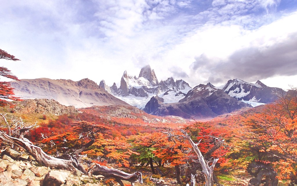 Autumn Colors Of Patagonia