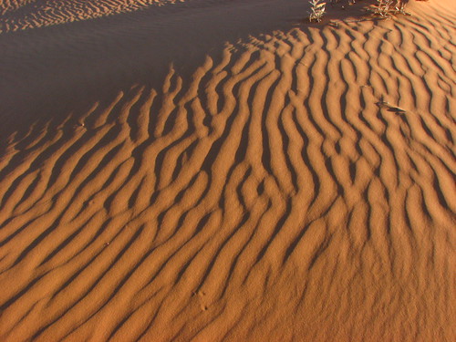 Sand Dunes 081 | by Chandler West