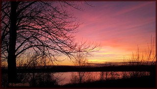 Bockwitzer See - Purpur Sonnenuntergang...Purple sunset
