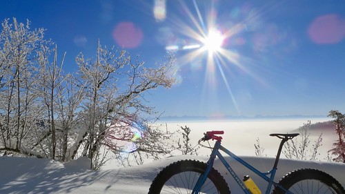 winter snow fatbike ride 21012017 view blue sky sun