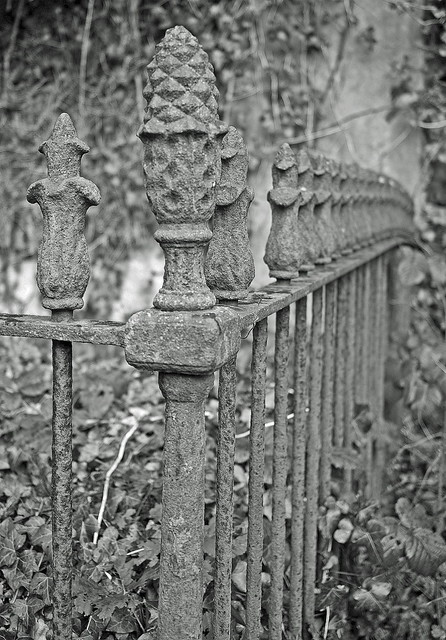 The old railings