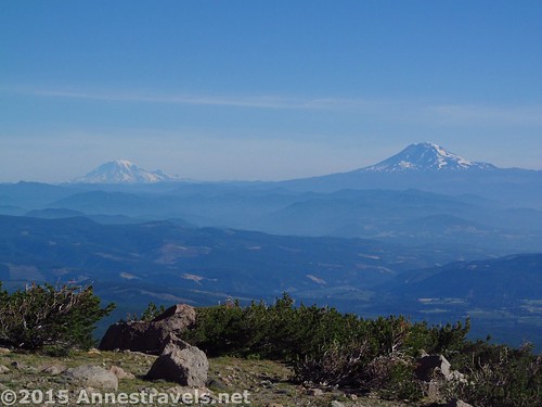 Mt. Rainier and Mt. Adams from the Cooper Spur Trail in Mount Hood National Forest, Oregon