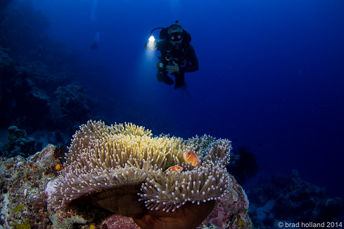 YAP ISLAND