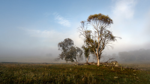 nikon mynikonlife australia afsnikkor1635mmf4gedvr 2016 nsw landscapephotography country aberfoyle newsouthwales jasonbruth subject fog rural d810 landscape nikond810 au