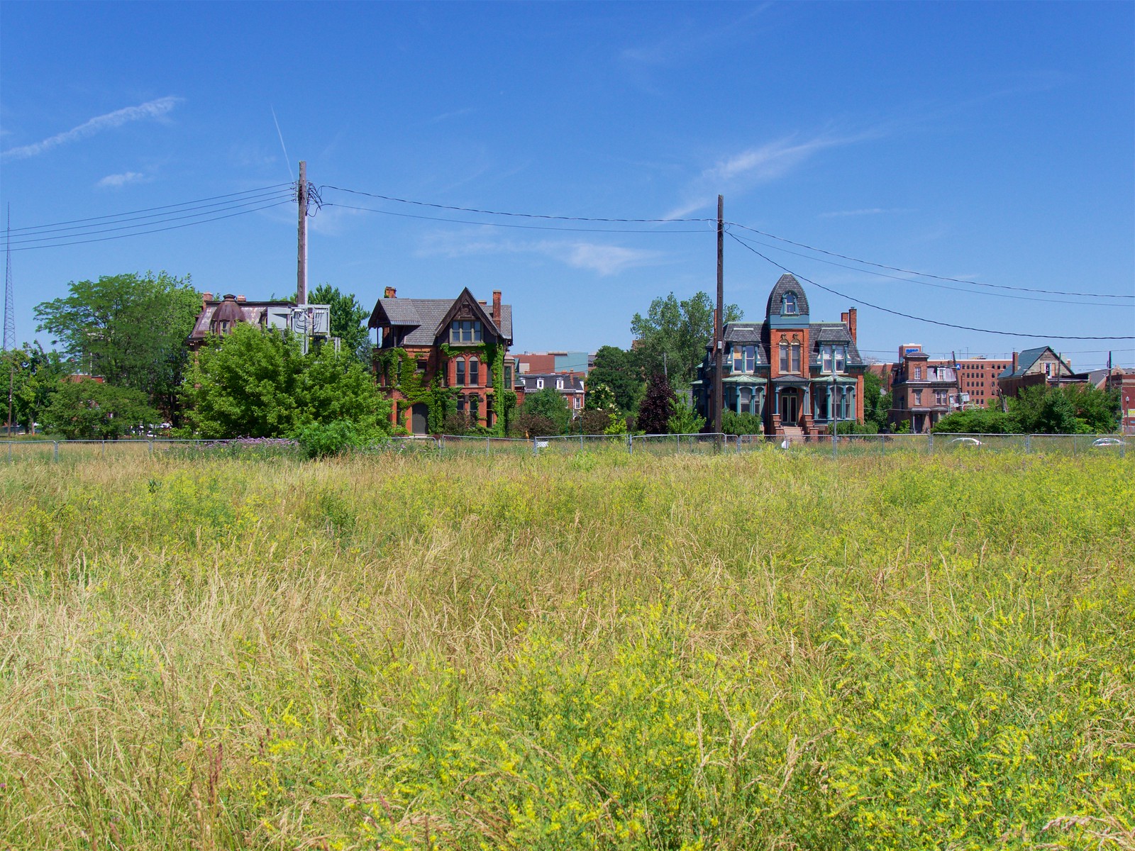 Brush Park
