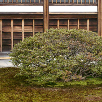 Japan_postale16 | by weyerdk