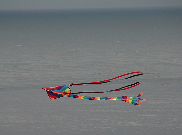 Following the kite