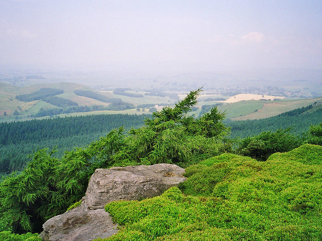 The View from the Trig Point