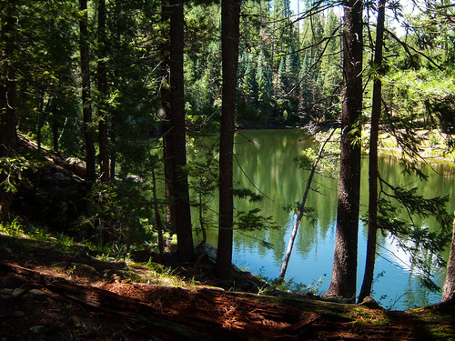 arizona lake water forest outdoors unitedstates reservoir payson mogollonrim coconinonationalforest knolllake mogollonrimrangerdistrict