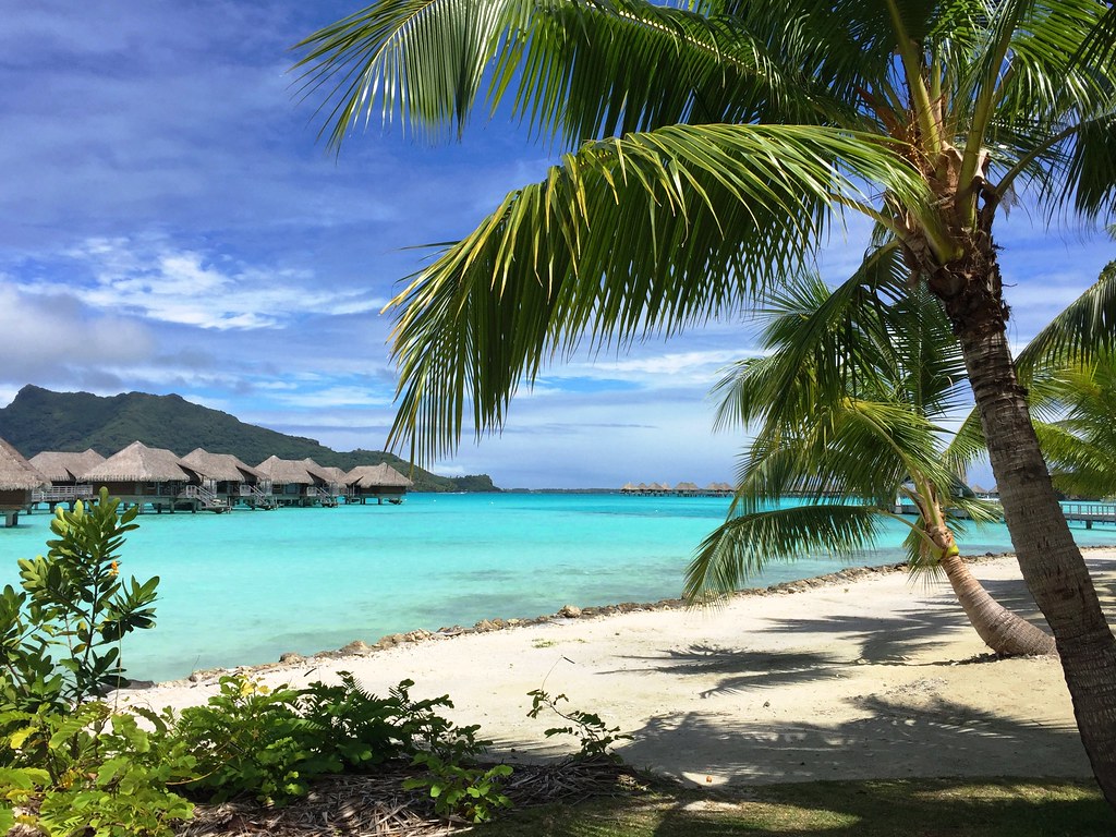Tahiti y Bora Bora: ¿Qué isla debe visitar? 7
