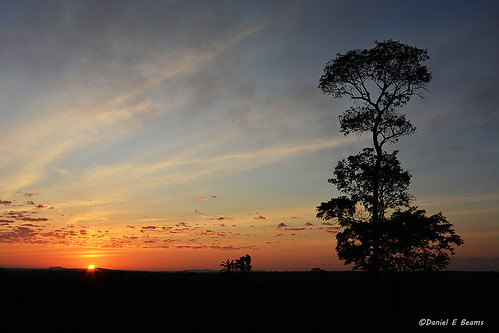 santacruz sunrise landscape bolivia southamercia guarayos