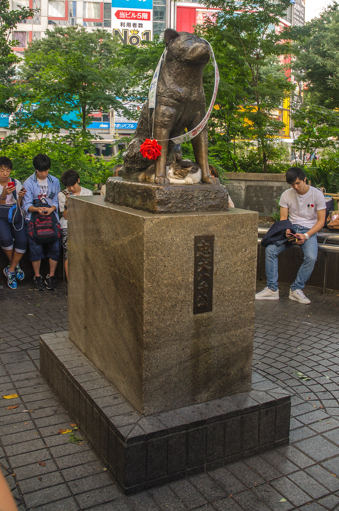 Hachiko Statue Hachiko was a famed Akita Inu known for