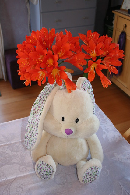 Flowers from a friend for Easter