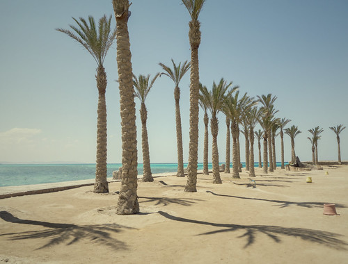 sun beach strand lumix meer urlaub g3 hurghada palmen ãgypten