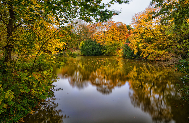 Autumn at Birkenhead Park 3