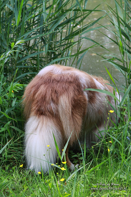 Very Tail