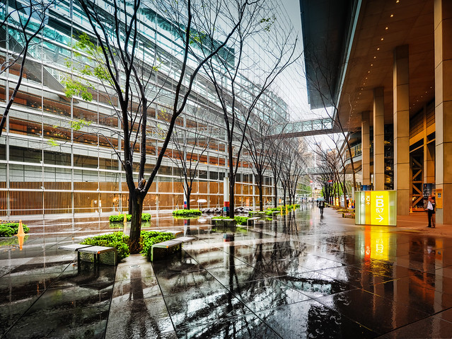 A Rainy Scene in Tokyo