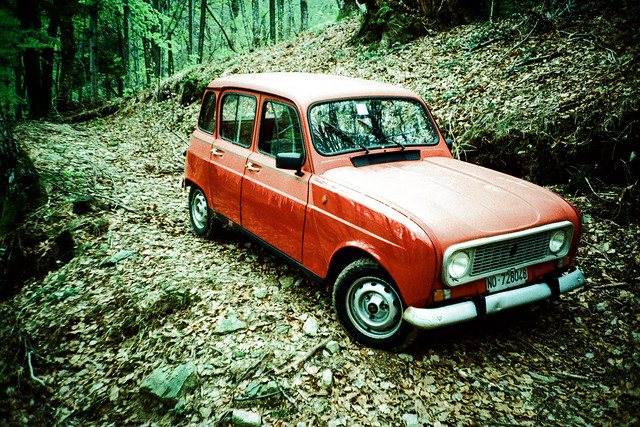 Renault allein im Wald.