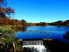 Mill Pond Park -- Autumn (2)