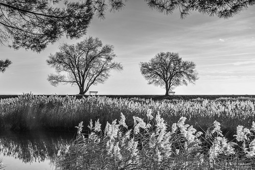 Autumn landscape by S.D.Austin, Vista autunnaleautumn autunno landscape nature vista bw bianco nero black whit