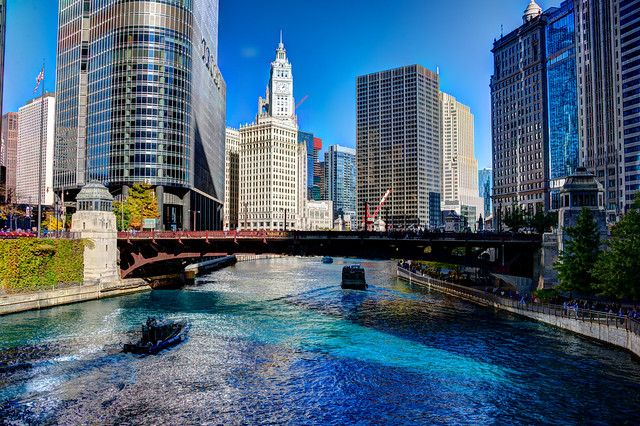 Chicago River dyed blue for Cubs World Series championship parade (Trump Tower and Wrigley Building)