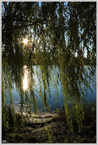 city summer sun lake landscape outdoors star scenery arch russia branches willow shade flare nizhnynovgorod