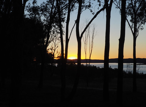 kaptainkobold lake water copeton inverell nsw australia trees sunset dusk evening silhouette