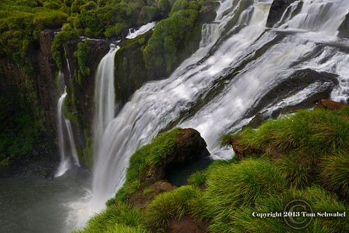 argentina grass waterfall unesco cataratas iguazu iguazufalls tomschwabel cataratasdeliguazu
