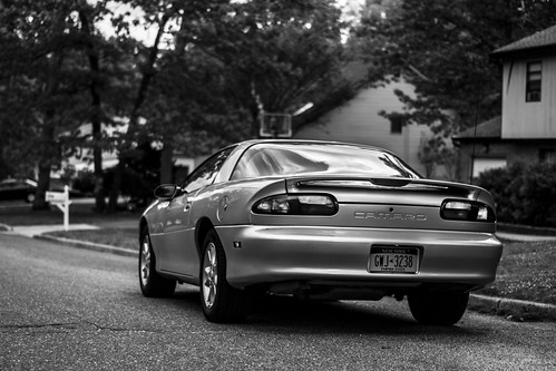 First wash | by saniqadeerphotography_