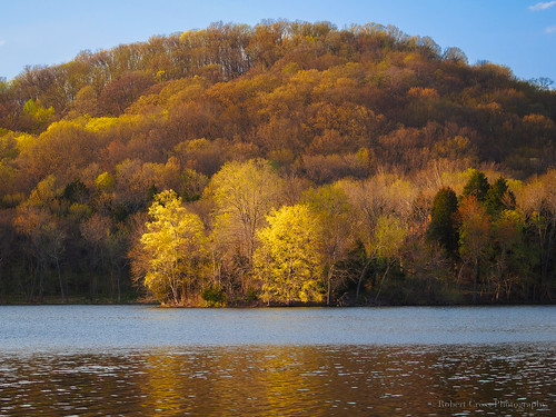 trees sunset color reflection forest landscape spring tn nashville tennessee bluesky olympus omd radnorlake middletennessee em5 70300mmf456zuiko dailyrayofhope2015