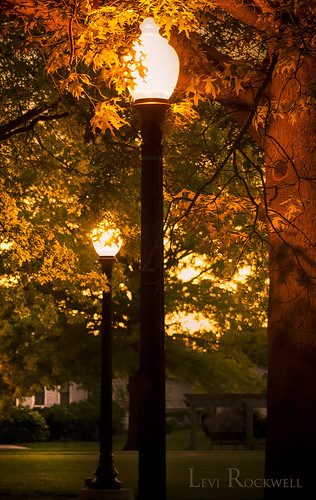 Downtown Park Night Lights by Rockwell Photography,